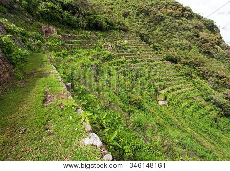 Choquequirao, One Of The Best Inca Ruins In Peru. Choquequirao Inca Trekking Trail Near Machu Picchu