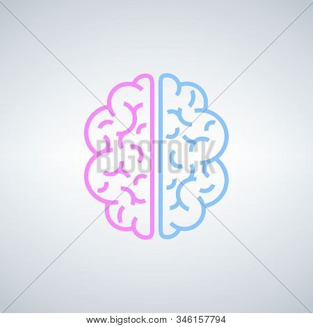 Brain. The Two Halves Of The Whole Brain Of Pink And Blue. Man And Woman Thinking Concept. Stock Vec
