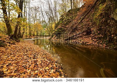 Autumn Colors In A Slowly Flowing Creek