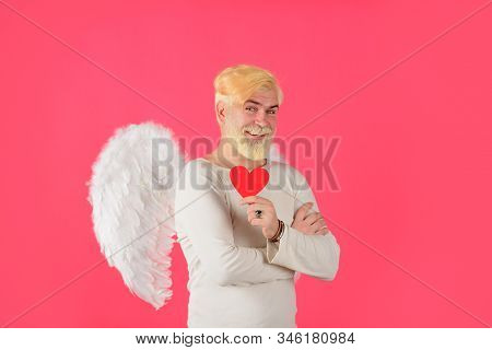 Handsome Angel Cupid. Valentines Day. Angel Man With White Wings. Love Concept. Valentine Angel. Bea