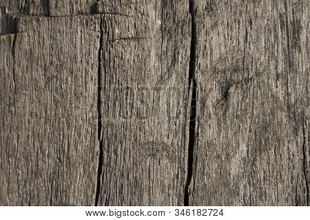 Texture Of Tree Stump Vintage Backgroud. Cllose Up