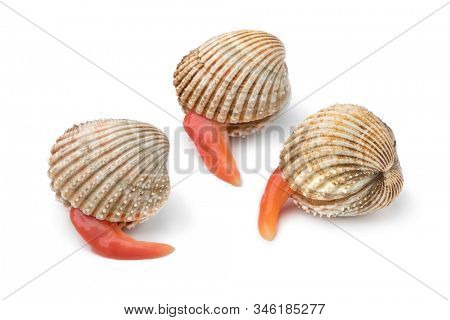 Fresh Prickly cockles with an extending long foot isolated on white background