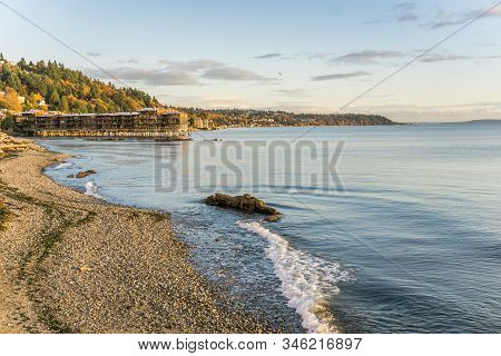 Autumn Trees With Rich Color Above The Shoreline In West Seattle, Wshington.