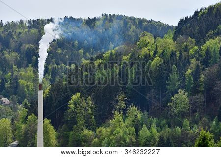 Smoking Pipe With Smoke Against The Background Of The Forest With Text Space