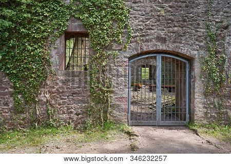 Stone Wall Of The Ruins Of An Old Castle Of Schloss Neuenburg In Germany, Overgrown With Ivy, In Spr
