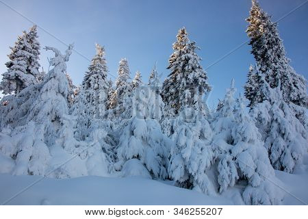 Beautiful Winter Landscape In The Ore Mountains On The Czech German Border On The Mountain Keilberg-