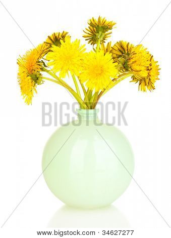 Löwenzahn Blumen in der Vase isoliert auf weiss