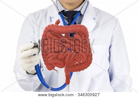 Doctor Touch Intestine Check Human Intestine , 3d Concept