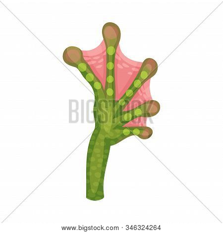 Animal Paw Isolated On White Background Vector Element. Membranous Foot With Sharp Claws