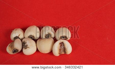 Job's Tears, Also Known As Adlay And Coix On Red Background. Popular In Asian Cultures As A Food Sou
