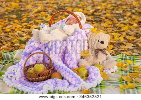 An Impromptu Picnic For A Two-month-old Baby Sleeping In A Basket In A Park