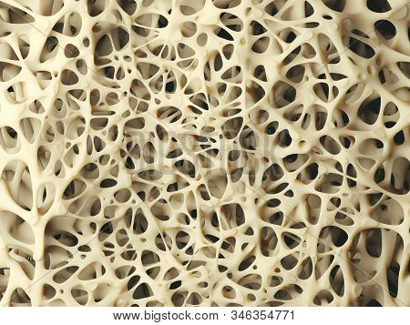 Realistic Bone Spongy Structure Close-up, Healthy Texture Of Bone, 3d Illustration