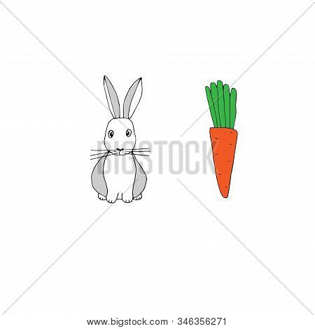 Vector Illustration Of Rabbit And Carrot In Colors