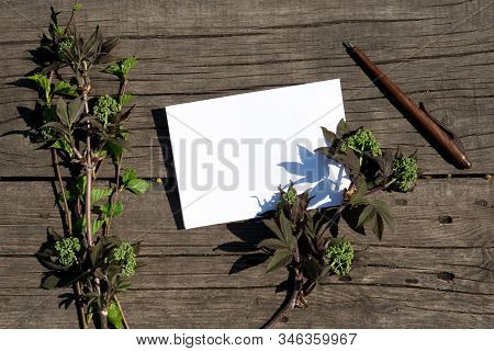 Spring White And Green Blooming Branches And Paper With Pencil Over Rustic Wooden Background.  Templ