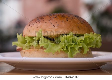 Hamburger