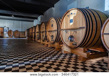 France Lyon 2019-06-21 Giant Wooden Barrels, Aging, Fermentation, Store In Modern Brocard Wine Cella
