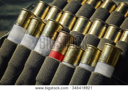 Set Of Cartridges For A Shotgun. One Cartridge Is Higher Than The Rest In The Case. Business Concept