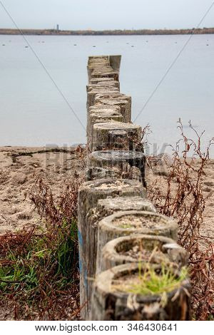 View Of Wood Groyne At Lake Cospudener See A Former Brown Coal Opencast Mine In The South Of Leipzig