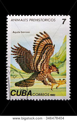 Novosibirsk, Russia - January 07, 2020: Stamp Nature Collection Printed In  Cuba  Shows Buteogallus 
