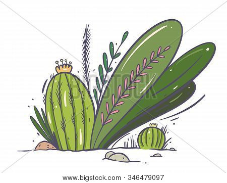 Cactus And Plants Grow On The Ground. Hand Drwan Vector Illustration. Isolated On White Background.