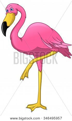 Cute Flamingo Bird Cartoon On A White Background