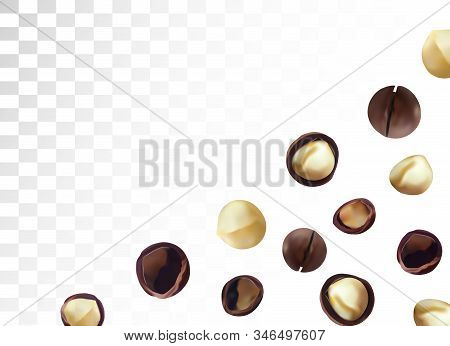 3d Realistic Macadamia Nut Isolated On Transparent Background. Shelled And Unshelled Macadamia Nuts 