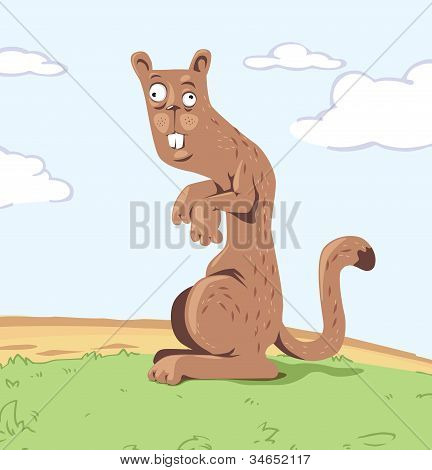 Hülye wild gopher