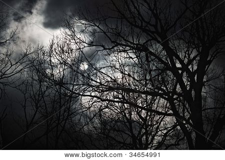 Halloween abstraktní krajina. Úplněk za lesní siluetu.