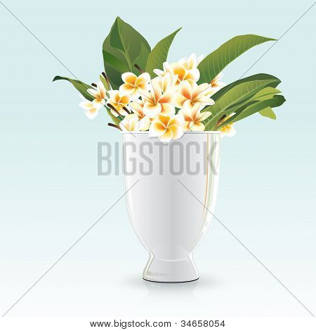 Martwa natura z Frangipani