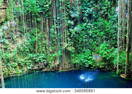 Ik Kil Is An Open-air Cenote, Very Deep, That Can Be Seen From Above, Full Of Vegetation That Makes 