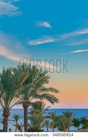 Beautiful Green Palm Trees Against The Sunset Sky With Light Clouds And Blue Sea. Tropical Idilic Ev