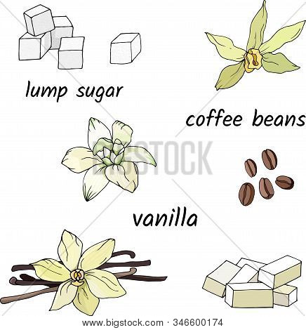Set Of Spices For Tea And Coffee On A White Background. Vector Illustration Of Vanilla, Sugar, Coffe