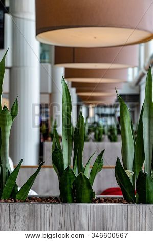 Airport, Munich, Germany - 09 April 2019: Boarding Area At Munich Airport Terminal 2 With Green Plan