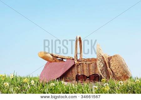 Picnic on Meadow