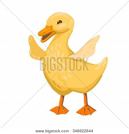 The Little Duckling Flaps Its Wings. Yellow Bird Vector Character On White Background