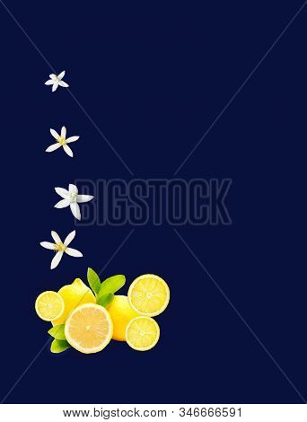 Ecologic Lemmons And Orange Blossoms In Color Background