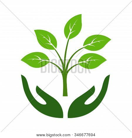 Icon Of Hands Carefully Holding Green Leaves. Symbol Of Ecology, Environmental Awareness, Nature Pro