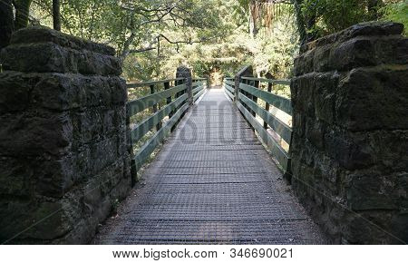 Morning Walk To Mair Park Whangarei New Zealand
