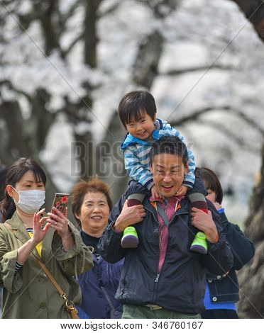 People Enjoying Cherry Blossom (hanami)