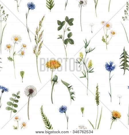 Beautiful Vector Floral Summer Seamless Pattern With Watercolor Hand Drawn Field Wild Flowers. Stock