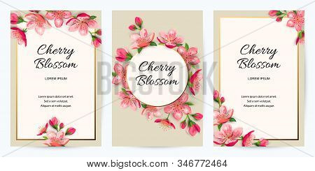 Spring Invitations With Blossom Sakura, Cherry Flowers. Place For Text. Great For Oriental Ivite, Fl
