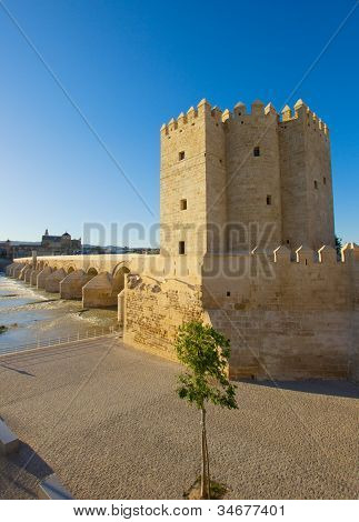 Torre Calahorra, Cordoba, Spanien