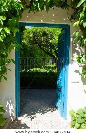 porte jardin avec oranger