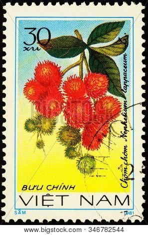 Moscow, Russia - January 24, 2020: Stamp Printed In Vietnam Shows Branch With Rambutan Fruits (nephe
