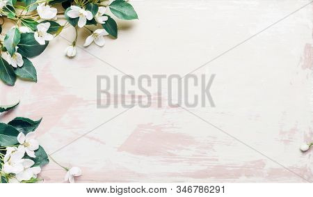 Apple Tree Branch On A Wooden Background In Retro Style. Spring Concept Backdrop. Colorful Spring In