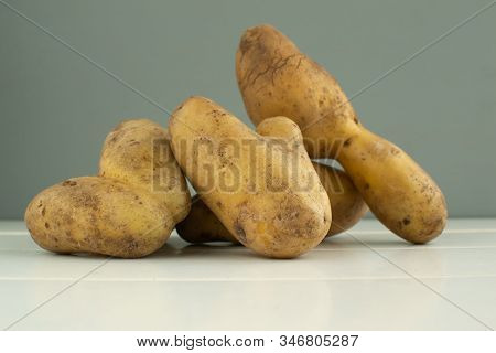 Ugly Vegetables. Potatoes On A Gray Background Background. The Form Does Not Affect The Taste, Ugly 