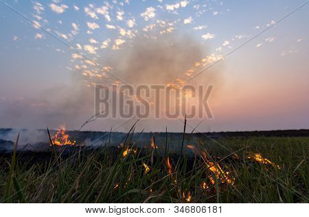 Picture Of A Rice Field In A Rural Area Where Villagers Are Burning Stumps Of Rice. With The Backdro