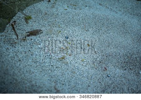 Close Up Shot Of Sand Under Water