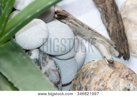 Zen Round Stones With Aloe Vera Leaf In Blur