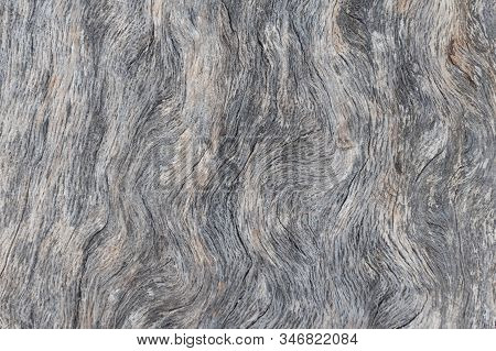 Wood Texture Of A Wooden Log Full